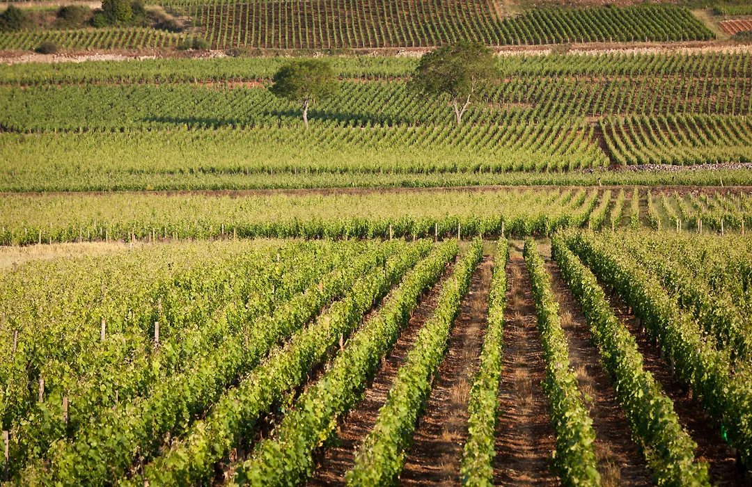 Kyriad Prestige Beaune le Panorama-1