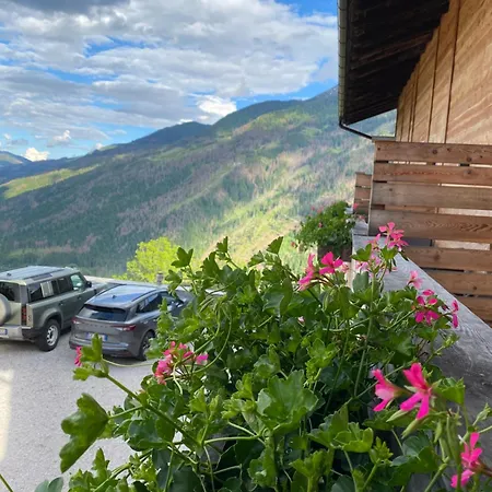 Hotel Almhof-3