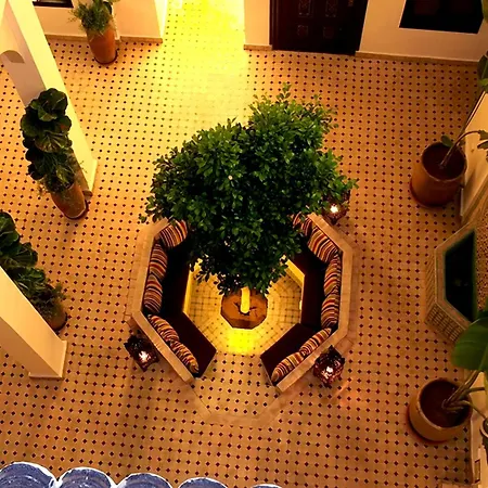 Riad Signature-3
