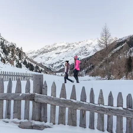 Hotel Alpenjuwel-2